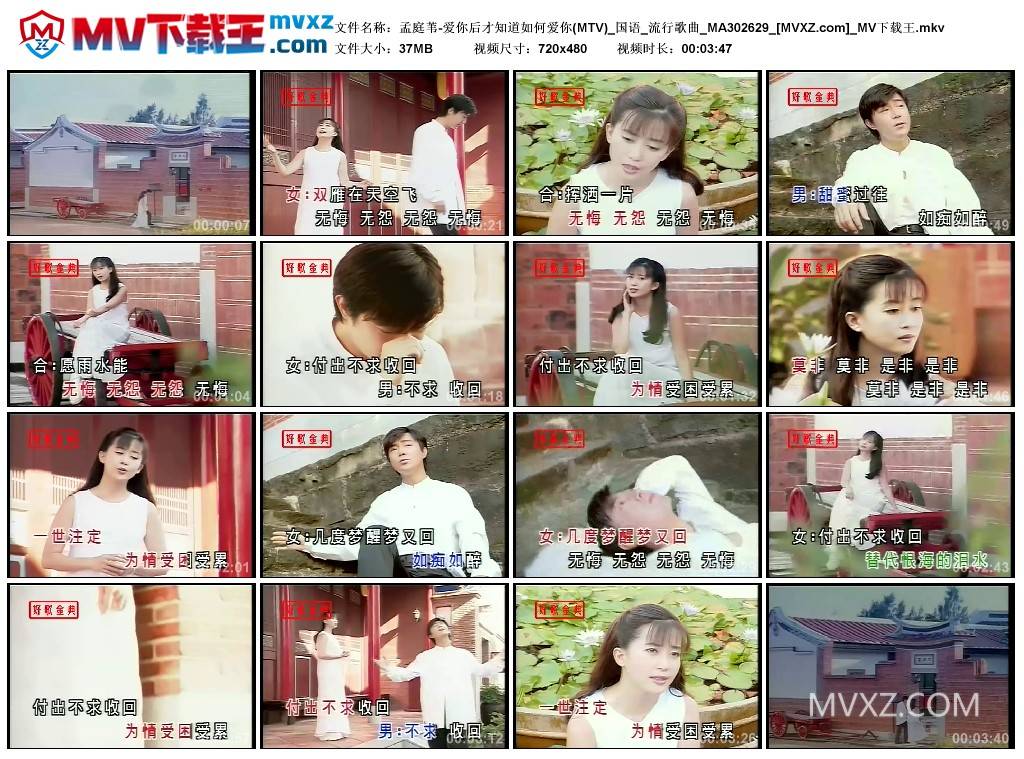 孟庭苇-爱你后才知道如何爱你(MTV)_国语_流行歌曲_MA302629